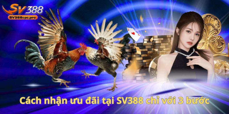 SV388 – Nhà Cái Đá Gà Với Khuyến Mãi Siêu Hấp Dẫn Cho Người Chơi Thực Thụ 5 Cách nhận ưu đãi tại SV388 chỉ với 3 bước