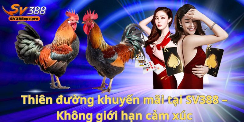 SV388 – Nhà Cái Đá Gà Với Khuyến Mãi Siêu Hấp Dẫn Cho Người Chơi Thực Thụ 2 Thiên đường khuyến mãi tại SV388 – Không giới hạn cảm xúc